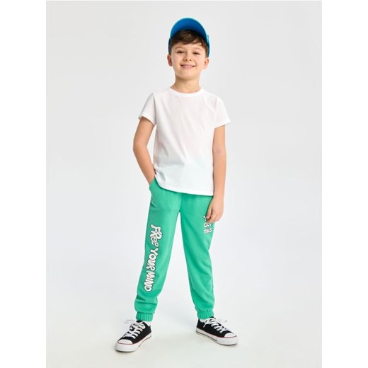 Sinsay - Spodnie dresowe jogger - zielony ze sklepu Sinsay w kategorii Spodnie chłopięce - zdjęcie 170003405