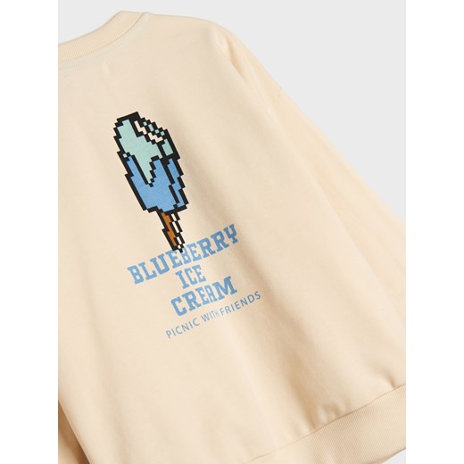 Bluza chłopięca Sinsay w nadruki