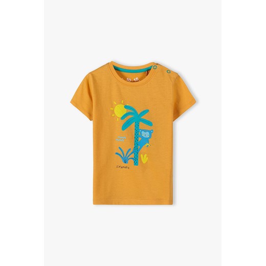 Dzianinowy T-shirt dla niemowlaka - pomarańczowy 5.10.15. 68 promocja 5.10.15