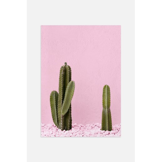 H & M - Green Cactus Plakat - Różowy H & M 30x40 H&M