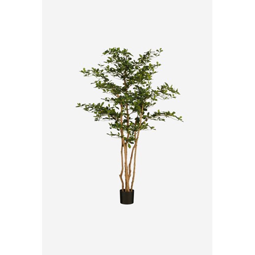 H & M - Olive Artificial Plant - Zielony H & M One Size H&M