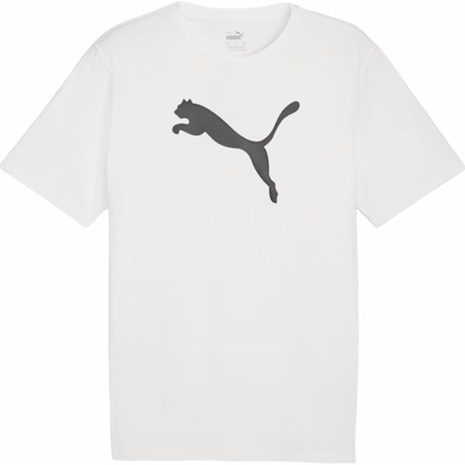 Koszulka męska teamRISE Logo Jersey Cotton Puma ze sklepu SPORT-SHOP.pl w kategorii T-shirty męskie - zdjęcie 170778327