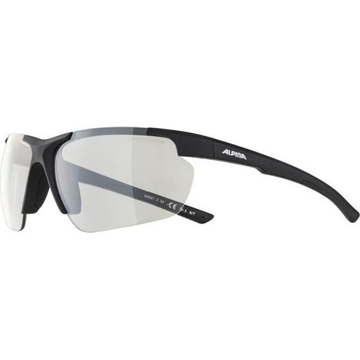 Okulary sportowe Defey HR S1 Alpina ze sklepu SPORT-SHOP.pl w kategorii Okulary przeciwsłoneczne męskie - zdjęcie 170870478