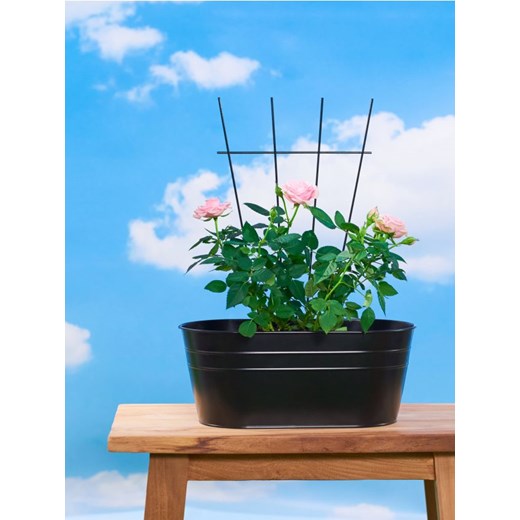 Sinsay - Podpora do roślin - czarny ze sklepu Sinsay w kategorii Donice i kwietniki ogrodowe - zdjęcie 171015577