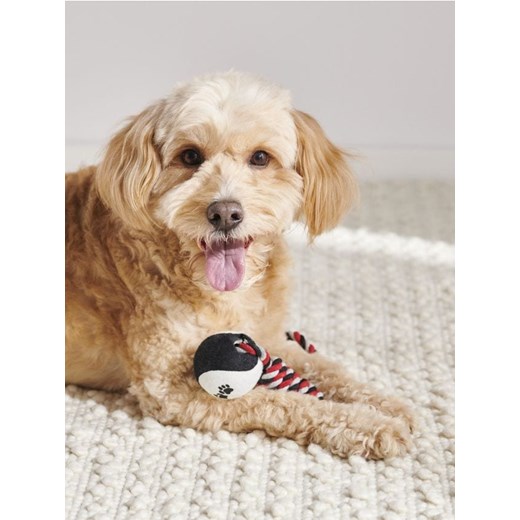 Sinsay - Zabawka dla psa - wielobarwny ze sklepu Sinsay w kategorii Dla zwierząt - zdjęcie 171046568