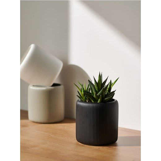 Sinsay - Osłonka doniczki - czarny Sinsay Jeden rozmiar Sinsay