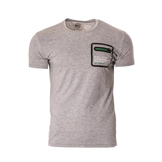 Męsla koszulka T-876 - szara ze sklepu Risardi w kategorii T-shirty męskie - zdjęcie 171554045