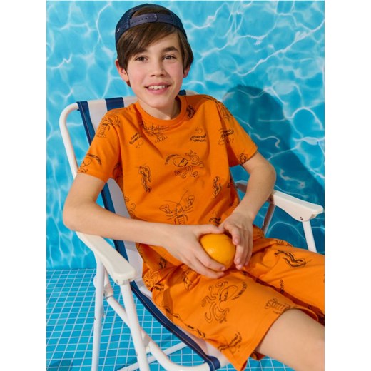 Sinsay - Koszulka - pomarańczowy ze sklepu Sinsay w kategorii T-shirty chłopięce - zdjęcie 171597669
