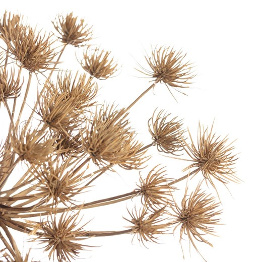 Gałązka Heracleum 125cm Dekoria One Size dekoria.pl