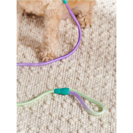 Sinsay - Smycz dla psa - fioletowy ze sklepu Sinsay w kategorii Dla zwierząt - zdjęcie 171958239