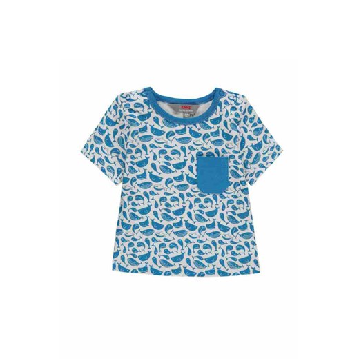 T-shirt niemowlęcy mix rybki niebieski Kanz 62 5.10.15 okazyjna cena