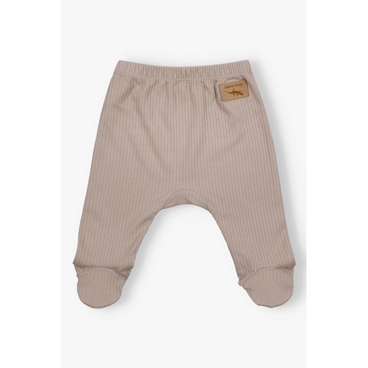Półśpiochy niemowlęce z dzianiny prążkowej - bązowe - Lagarto Verde ze sklepu 5.10.15 w kategorii Spodnie i półśpiochy - zdjęcie 172109349