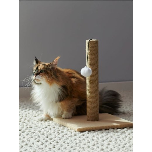 Sinsay - Drapak dla kota - kremowy ze sklepu Sinsay w kategorii Dla zwierząt - zdjęcie 172114389