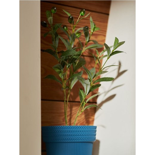Sinsay - Roślina ozdobna - zielony ze sklepu Sinsay w kategorii Dekoracje - zdjęcie 172162329