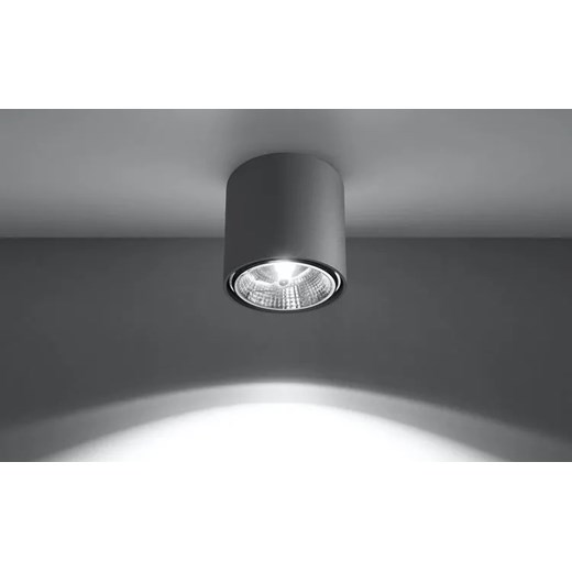 Szary minimalistyczny plafon LED walec - EX655-Tiubo Lumes One Size Edinos.pl