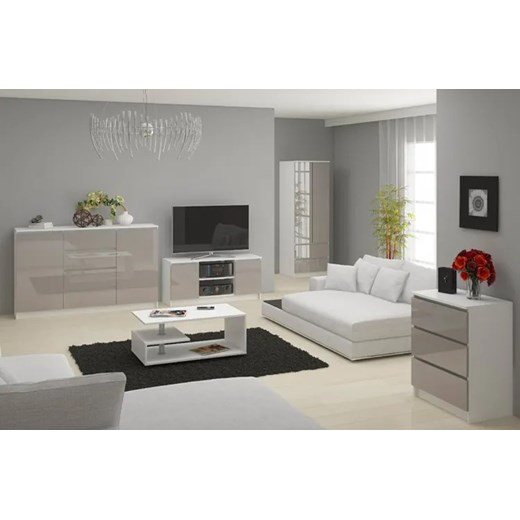 Nowoczesna komoda do salonu biała + metalik połysk - Stigio 4X Elior One Size Edinos.pl