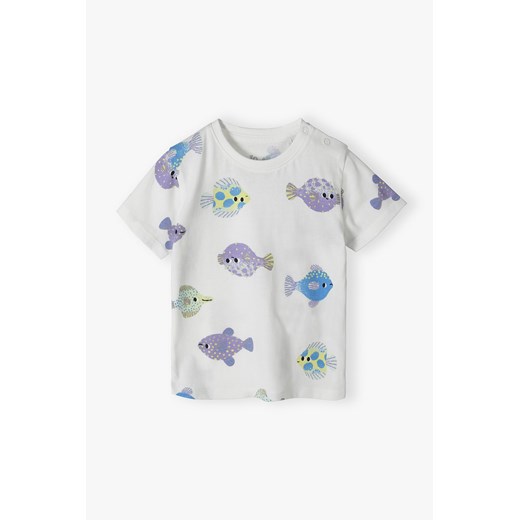Bawełniana bluzka niemowlęca w rybki - 5.10.15. ze sklepu 5.10.15 w kategorii Koszulki niemowlęce - zdjęcie 172272719