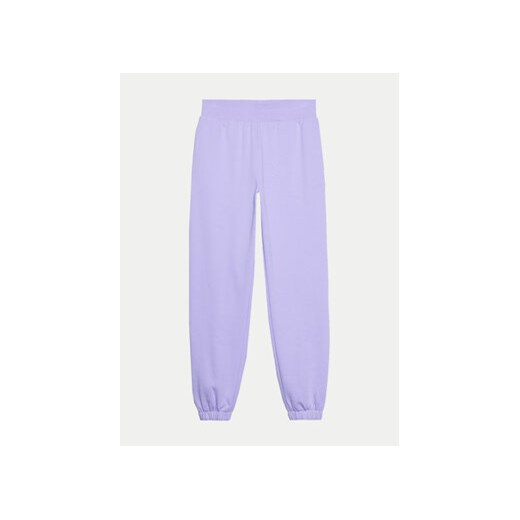 4F Spodnie dresowe 4FWSS24TTROF666 Fioletowy Regular Fit XS wyprzedaż MODIVO