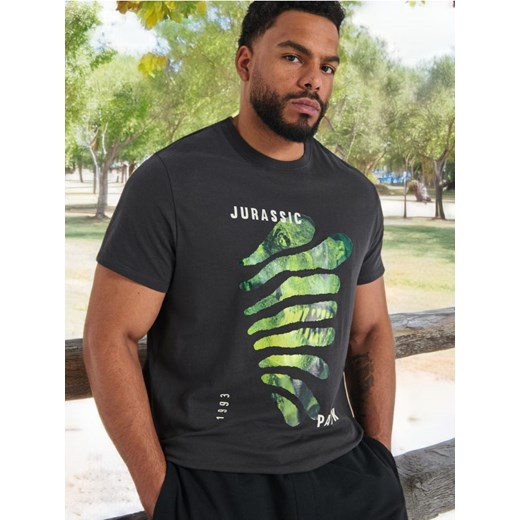 Sinsay - Koszulka Jurassic Park - szary ze sklepu Sinsay w kategorii T-shirty męskie - zdjęcie 172312198