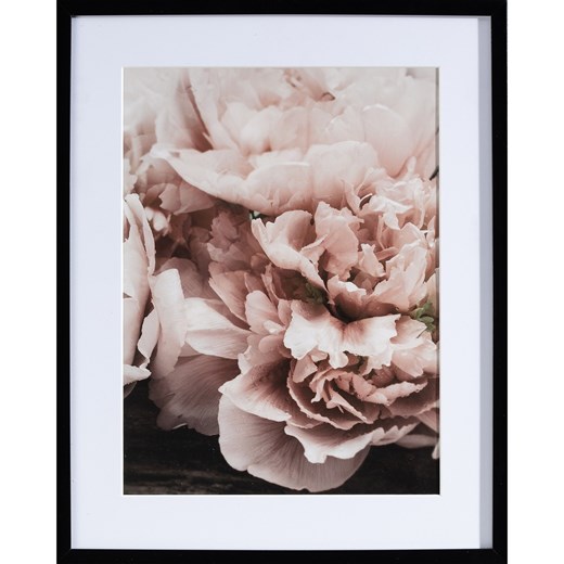 Obraz Peony Sunset I 40x50cm ze sklepu dekoria.pl w kategorii Obrazy - zdjęcie 172473507