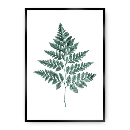 Plakat Fern Emerald Green ze sklepu dekoria.pl w kategorii Obrazy - zdjęcie 172474157