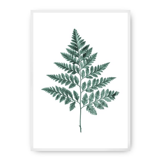 Plakat Fern Emerald Green ze sklepu dekoria.pl w kategorii Obrazy - zdjęcie 172474158