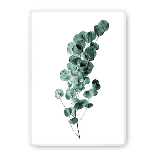 Plakat Eucalyptus Emerald Green ze sklepu dekoria.pl w kategorii Obrazy - zdjęcie 172474186