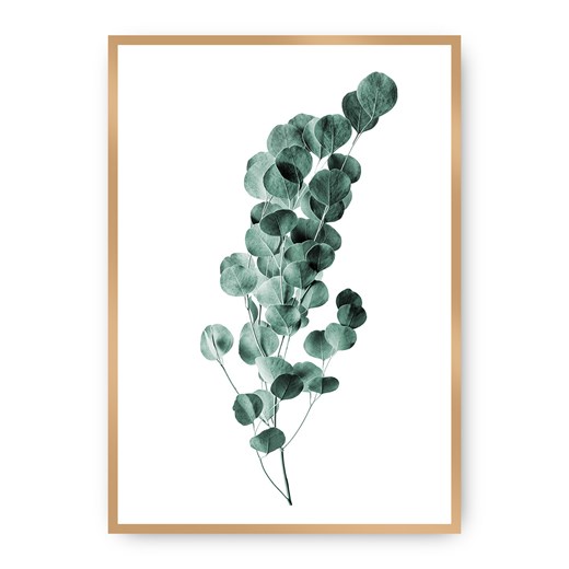 Plakat Eucalyptus Emerald Green ze sklepu dekoria.pl w kategorii Obrazy - zdjęcie 172474195