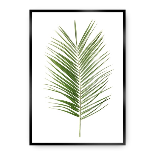 Plakat Palm Leaf Green ze sklepu dekoria.pl w kategorii Obrazy - zdjęcie 172474205