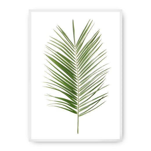 Plakat Palm Leaf Green ze sklepu dekoria.pl w kategorii Obrazy - zdjęcie 172474206
