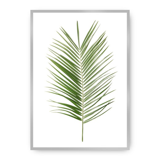 Plakat Palm Leaf Green ze sklepu dekoria.pl w kategorii Obrazy - zdjęcie 172474207