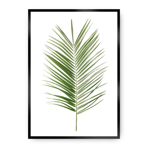 Plakat Palm Leaf Green ze sklepu dekoria.pl w kategorii Obrazy - zdjęcie 172474209