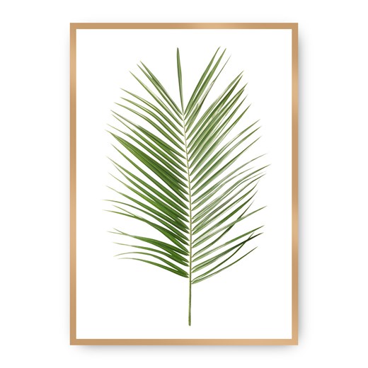 Plakat Palm Leaf Green ze sklepu dekoria.pl w kategorii Obrazy - zdjęcie 172474215