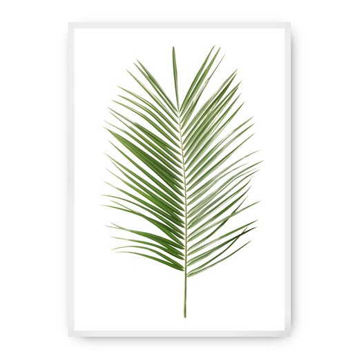 Plakat Palm Leaf Green ze sklepu dekoria.pl w kategorii Obrazy - zdjęcie 172474218