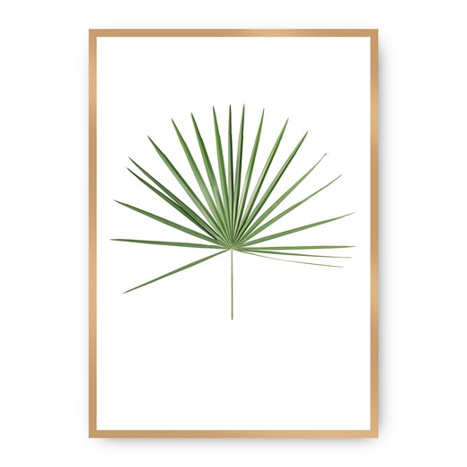 Plakat Tropical Leaf Green ze sklepu dekoria.pl w kategorii Obrazy - zdjęcie 172474266