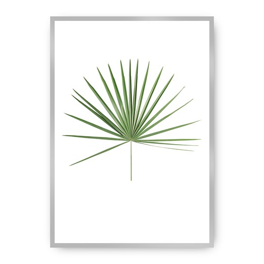 Plakat Tropical Leaf Green ze sklepu dekoria.pl w kategorii Obrazy - zdjęcie 172474267