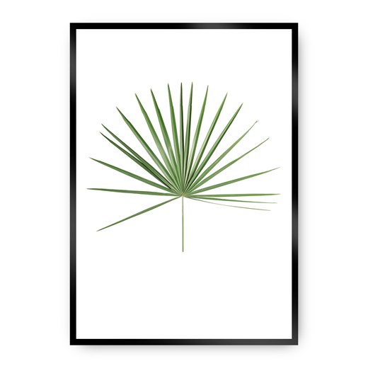 Plakat Tropical Leaf Green ze sklepu dekoria.pl w kategorii Obrazy - zdjęcie 172474268