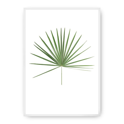 Plakat Tropical Leaf Green ze sklepu dekoria.pl w kategorii Obrazy - zdjęcie 172474277