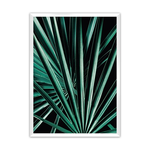 Plakat Dark Palm Tree ze sklepu dekoria.pl w kategorii Obrazy - zdjęcie 172476707