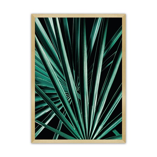 Plakat Dark Palm Tree ze sklepu dekoria.pl w kategorii Obrazy - zdjęcie 172476708