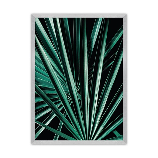 Plakat Dark Palm Tree ze sklepu dekoria.pl w kategorii Obrazy - zdjęcie 172476716