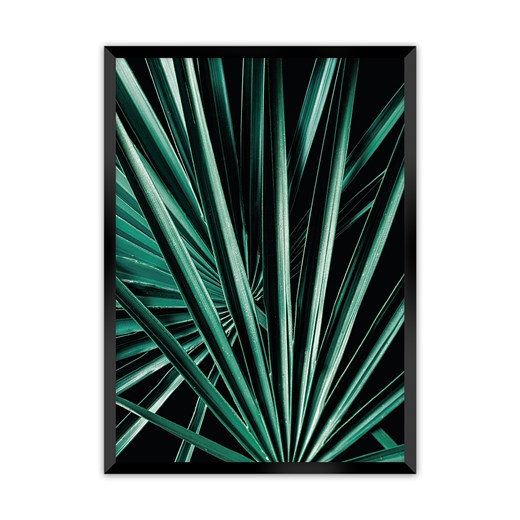 Plakat Dark Palm Tree ze sklepu dekoria.pl w kategorii Obrazy - zdjęcie 172476718