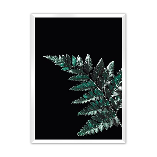 Plakat Dark Fern Leaf ze sklepu dekoria.pl w kategorii Obrazy - zdjęcie 172476727