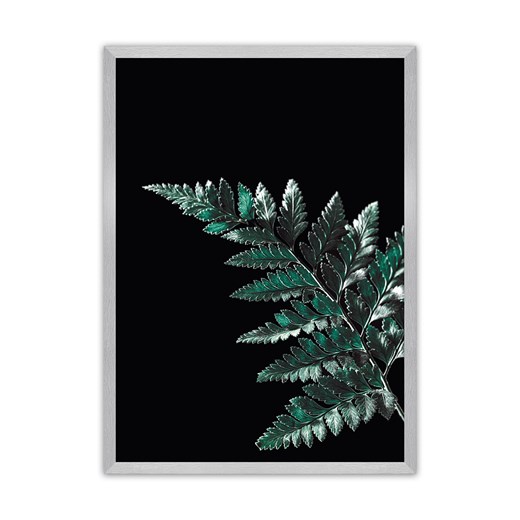 Plakat Dark Fern Leaf ze sklepu dekoria.pl w kategorii Obrazy - zdjęcie 172476736