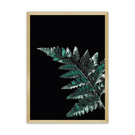 Plakat Dark Fern Leaf ze sklepu dekoria.pl w kategorii Obrazy - zdjęcie 172476737