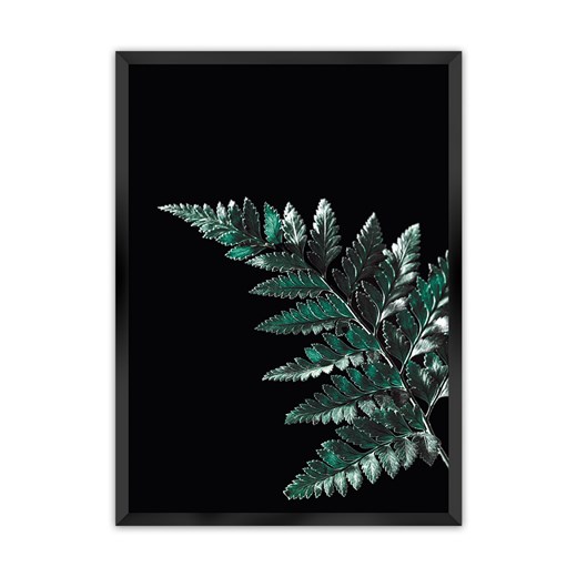 Plakat Dark Fern Leaf ze sklepu dekoria.pl w kategorii Obrazy - zdjęcie 172476738
