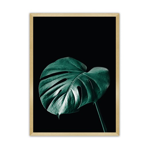 Plakat Dark Monstera ze sklepu dekoria.pl w kategorii Obrazy - zdjęcie 172476775