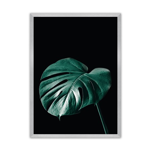 Plakat Dark Monstera ze sklepu dekoria.pl w kategorii Obrazy - zdjęcie 172476776