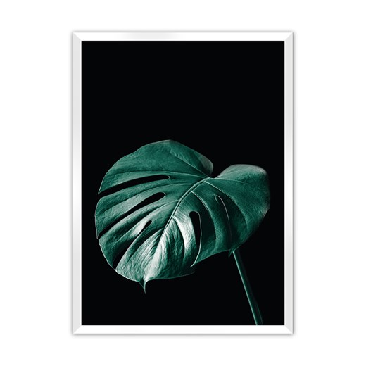 Plakat Dark Monstera ze sklepu dekoria.pl w kategorii Obrazy - zdjęcie 172476778