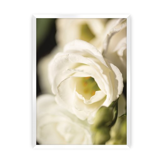 Plakat Flower Wall ze sklepu dekoria.pl w kategorii Obrazy - zdjęcie 172476806